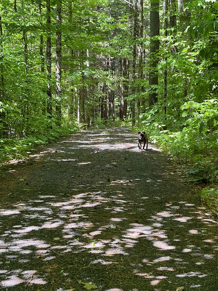 Things to do in Vermont - Hiking